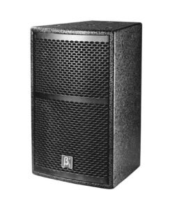 Beta3 X10i - 10" Two-Way Full Range Speaker