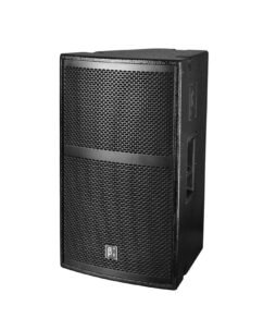 Beta3 X12i - 12" Two-Way Full Range Speaker