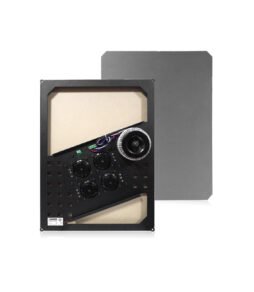 DSPPA DSP40I-Invisible Audio Solution for Home