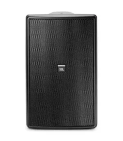 JBL Control 31 speaker
