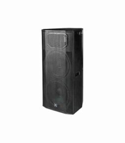 Beta TW215A dual 15 inch active speaker