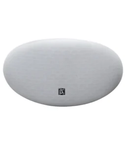 Beta3 QS1000 PA Speaker 10 inch
