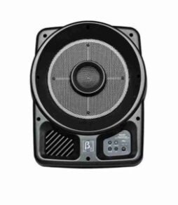 Beta3 R10P portable PA speaker