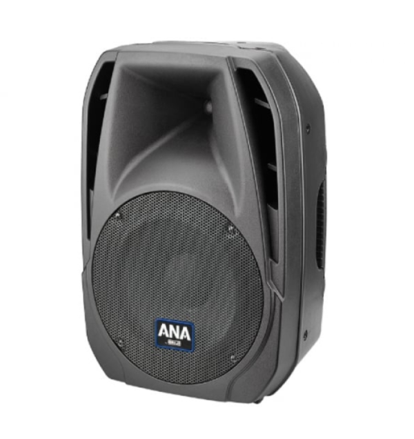 Ahuja ABA 5000 Portable Active speaker