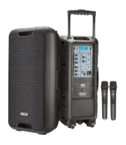 Ahuja Aspire 208 speaker